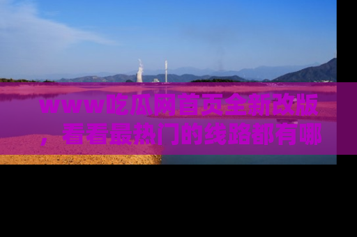 www吃瓜网首页全新改版，看看最热门的线路都有哪些！