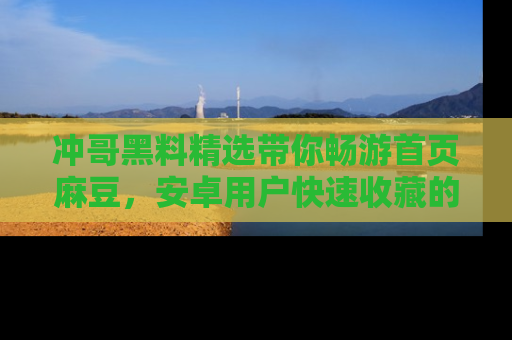 冲哥黑料精选带你畅游首页麻豆，安卓用户快速收藏的秘密武器！