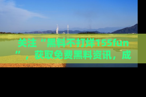 关注“黑料不打烊155fun”，获取免费黑料资讯，成为吃瓜达人不再难！