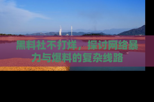 黑料社不打烊，探讨网络暴力与爆料的复杂线路