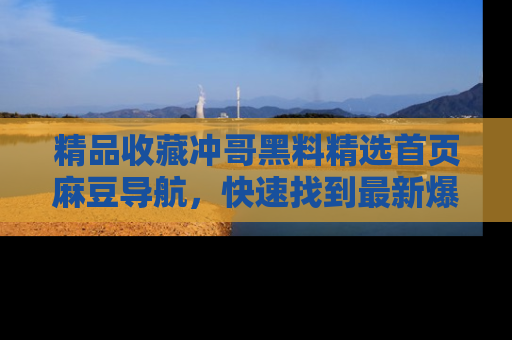 精品收藏冲哥黑料精选首页麻豆导航，快速找到最新爆料