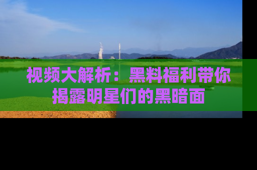 视频大解析：黑料福利带你揭露明星们的黑暗面