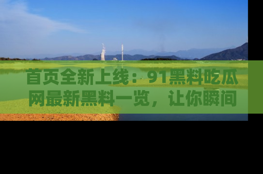 首页全新上线：91黑料吃瓜网最新黑料一览，让你瞬间掌握