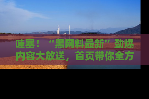 哇塞!“黑网料最新”劲爆内容大放送,首页带你全方位了解哦,小可爱们