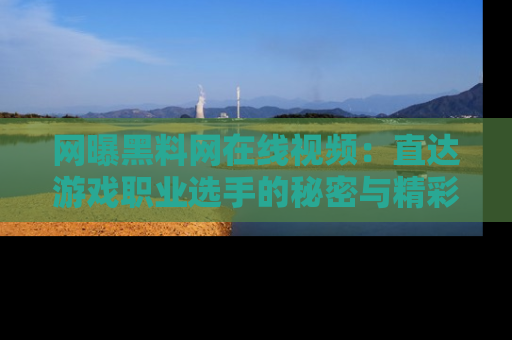 网曝黑料网在线视频：直达游戏职业选手的秘密与精彩动漫片段！
