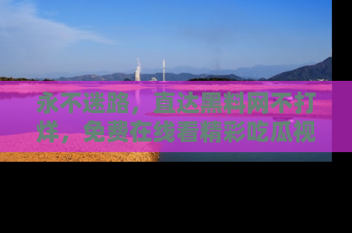 永不迷路，直达黑料网不打烊，免费在线看精彩吃瓜视频！