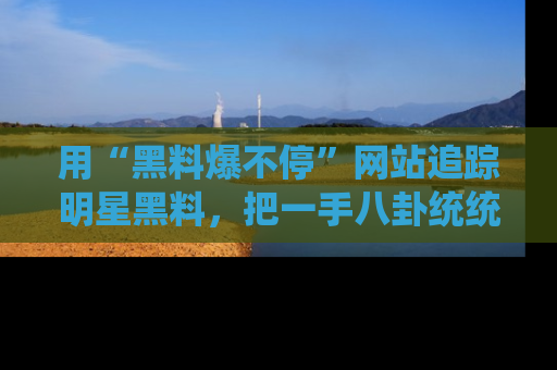 用“黑料爆不停”网站追踪明星黑料，把一手八卦统统收进你的后宫中！